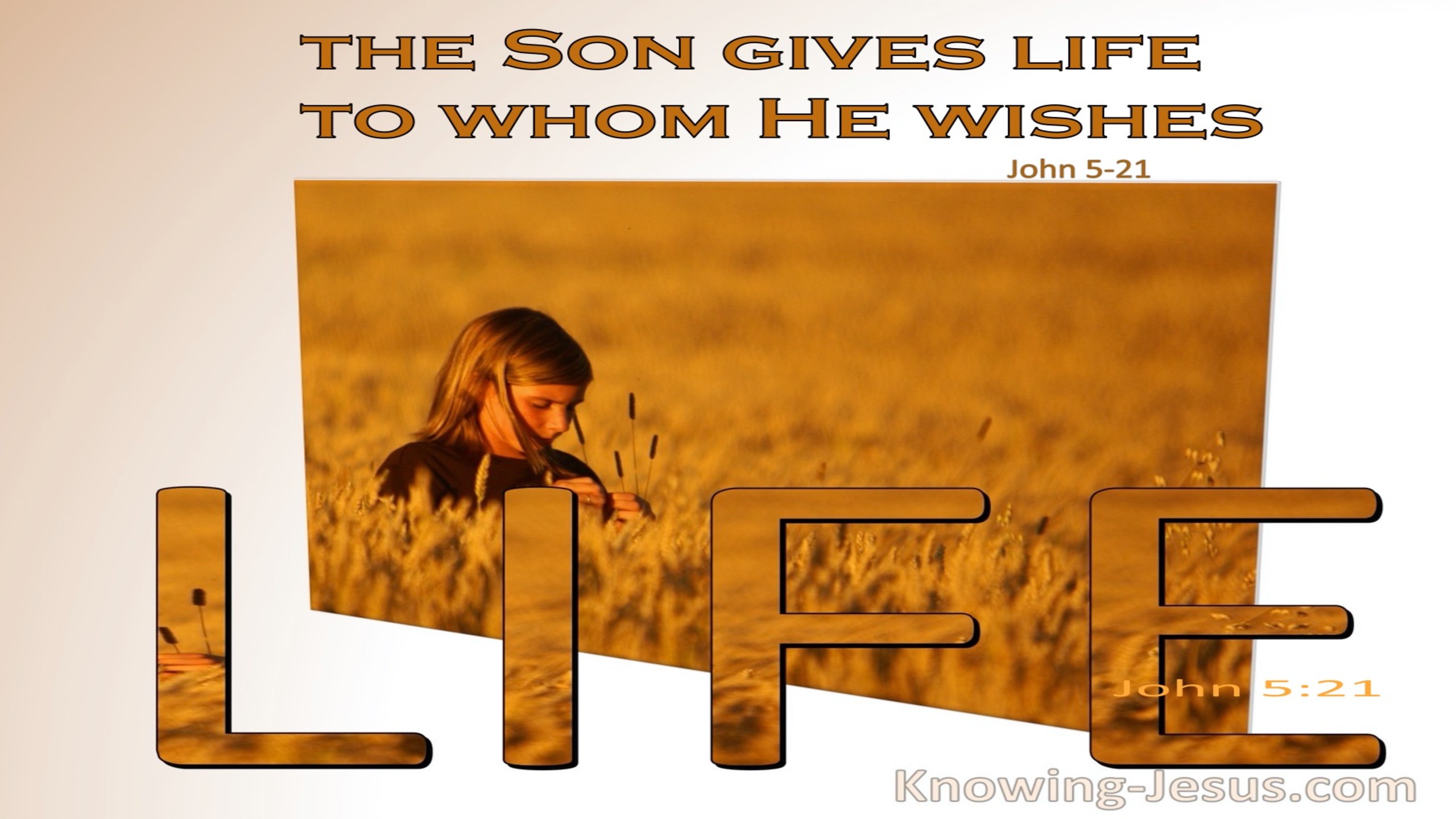 John 5:21 The Son Gives Life To Whom He Wishes (white)
